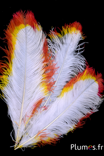 Strauß - 45-55 cm - weiß-gelb-rot